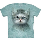 T-Shirt Blue Eyed Kitten