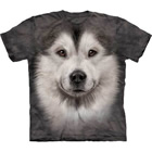 T-Shirt Alaskan Malamute