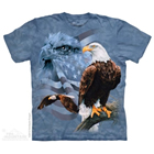 T-Shirt Weisskopfseeadler