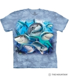 T-Shirt Delfine