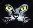 Damen-Shirt Kurzarm Cat 2 - 8 XL